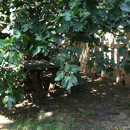 3 En Bois Avec Acces Piscine