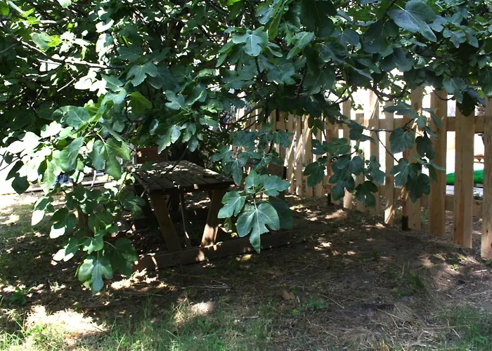 3 En Bois Avec Acces Piscine